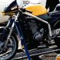 muz 660rouget
