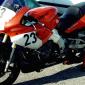 szr660bronders