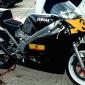 tzrxt500birolo