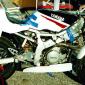 tzrxt600dakskobler