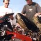 cp2001nogaro1019