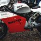 darrepau2004