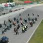 080713_desmolo_ 429