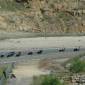 080713_desmolo_ 462