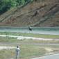 080713_desmolo_ 466