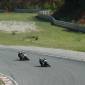 080713_desmolo_ 521