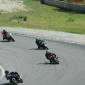 080713_desmolo_ 534
