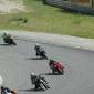080713_desmolo_ 535