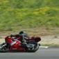 080713_desmolo_ 550