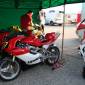 Bresse 2009 017
